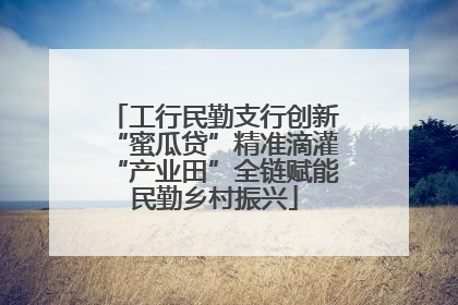工行民勤支行创新“蜜瓜贷”精准滴灌“产业田”全链赋能民勤乡村振兴