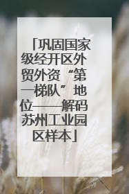巩固国家级经开区外贸外资“第一梯队”地位——解码苏州工业园区样本