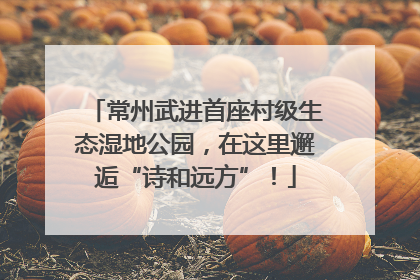 常州武进首座村级生态湿地公园，在这里邂逅“诗和远方”！