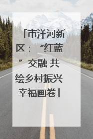 市洋河新区：“红蓝”交融 共绘乡村振兴幸福画卷