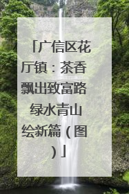 广信区花厅镇：茶香飘出致富路 绿水青山绘新篇（图）