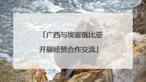 广西与埃塞俄比亚开展经贸合作交流