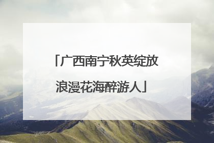 广西南宁秋英绽放 浪漫花海醉游人