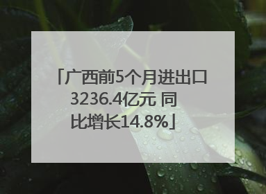 广西前5个月进出口3236.4亿元 同比增长14.8%