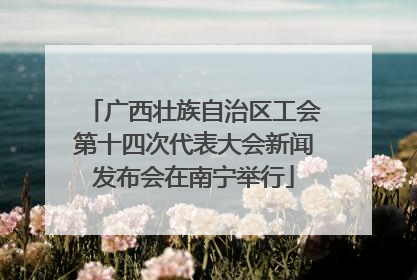 广西壮族自治区工会第十四次代表大会新闻发布会在南宁举行