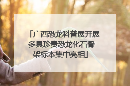 广西恐龙科普展开展 多具珍贵恐龙化石骨架标本集中亮相