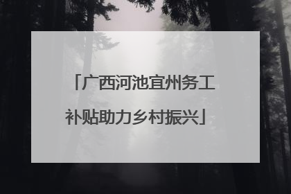 广西河池宜州务工补贴助力乡村振兴