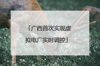 广西首次实现虚拟电厂实时调控