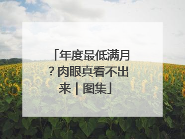 年度最低满月？肉眼真看不出来｜图集