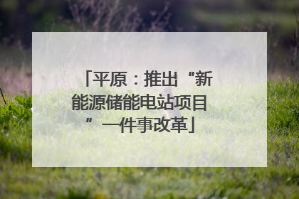 平原：推出“新能源储能电站项目”一件事改革