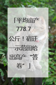 平均亩产778.7公斤！宿迁一示范田给出高产“答卷”