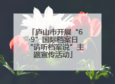 庐山市开展“6·9”国际档案日“请听档案说”主题宣传活动