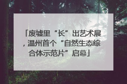废墟里“长”出艺术展，温州首个“自然生态综合体示范片”启幕