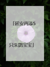 延安再添5只朱鹮宝宝