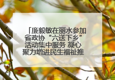 廉毅敏在丽水参加省政协“六送下乡”活动集中服务 凝心聚力增进民生福祉推进共同富裕