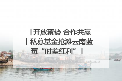 开放聚势 合作共赢丨私募基金抢滩云南蓝莓“时差红利”
