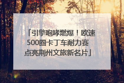 引擎咆哮燃爆！欧速500圈卡丁车耐力赛点亮荆州文旅新名片