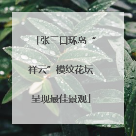 张三口环岛“祥云”模纹花坛呈现最佳景观
