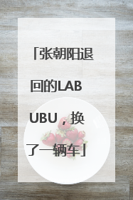 张朝阳退回的LABUBU，换了一辆车