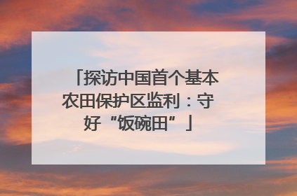 探访中国首个基本农田保护区监利：守好“饭碗田”