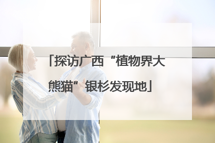 探访广西“植物界大熊猫”银杉发现地