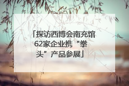 探访西博会南充馆 62家企业携“拳头”产品参展