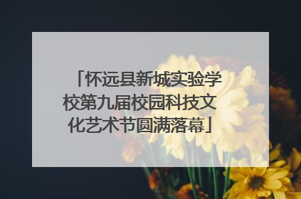 怀远县新城实验学校第九届校园科技文化艺术节圆满落幕
