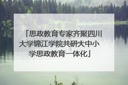 思政教育专家齐聚四川大学锦江学院共研大中小学思政教育一体化