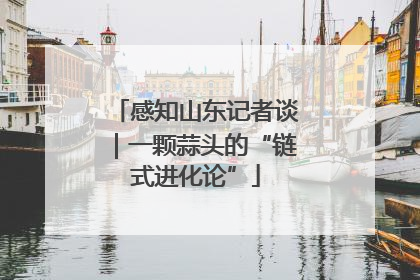 感知山东记者谈｜一颗蒜头的“链式进化论”