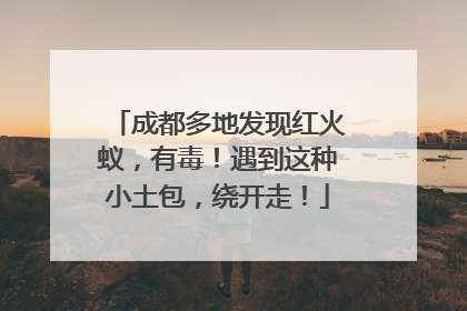 成都多地发现红火蚁，有毒！遇到这种小土包，绕开走！