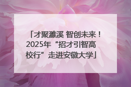 才聚濉溪 智创未来！2025年“招才引智高校行”走进安徽大学