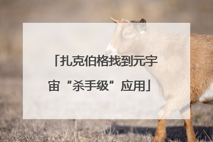 扎克伯格找到元宇宙“杀手级”应用