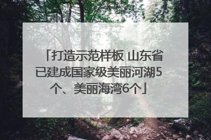 打造示范样板 山东省已建成国家级美丽河湖5个、美丽海湾6个