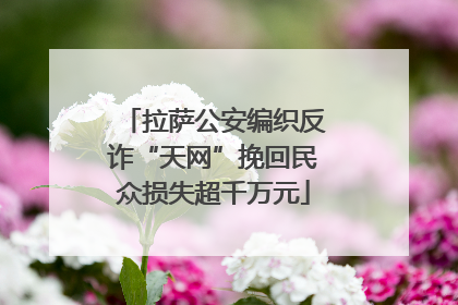 拉萨公安编织反诈“天网”挽回民众损失超千万元