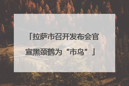 拉萨市召开发布会官宣黑颈鹤为“市鸟”