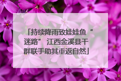 持续降雨致娃娃鱼“迷路” 江西金溪县干群联手助其重返自然