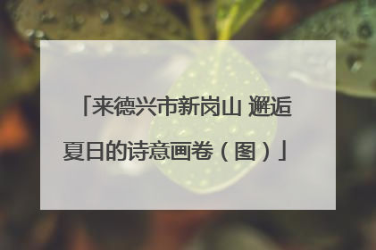 来德兴市新岗山 邂逅夏日的诗意画卷（图）