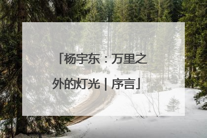 杨宇东：万里之外的灯光｜序言