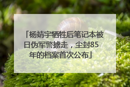 杨靖宇牺牲后笔记本被日伪军警掳走，尘封85年的档案首次公布