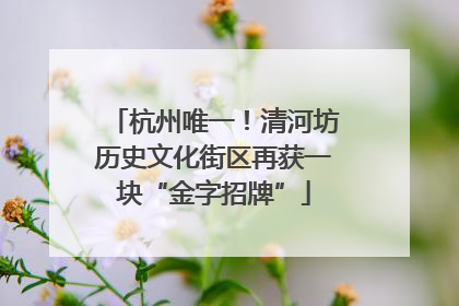 杭州唯一！清河坊历史文化街区再获一块“金字招牌”