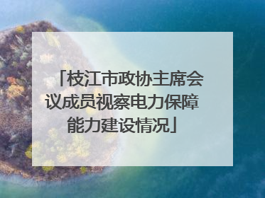 枝江市政协主席会议成员视察电力保障能力建设情况