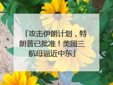 攻击伊朗计划，特朗普已批准！美国三航母逼近中东