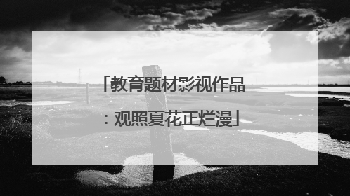 教育题材影视作品：观照夏花正烂漫