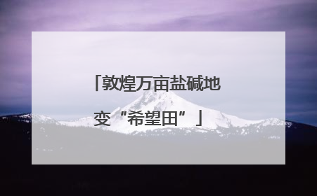 敦煌万亩盐碱地变“希望田”