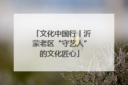 文化中国行丨沂蒙老区“守艺人”的文化匠心