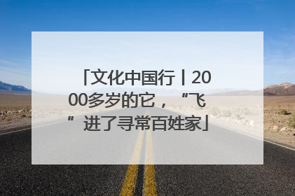 文化中国行丨2000多岁的它，“飞”进了寻常百姓家