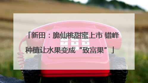 新田：脆仙桃甜蜜上市 错峰种植让水果变成“致富果”