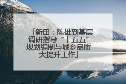 新田：陈雄到基层调研指导“十五五”规划编制与城乡品质大提升工作