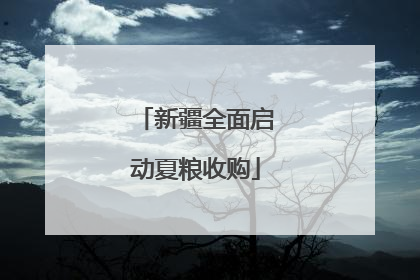 新疆全面启动夏粮收购
