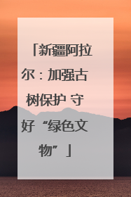 新疆阿拉尔：加强古树保护 守好“绿色文物”